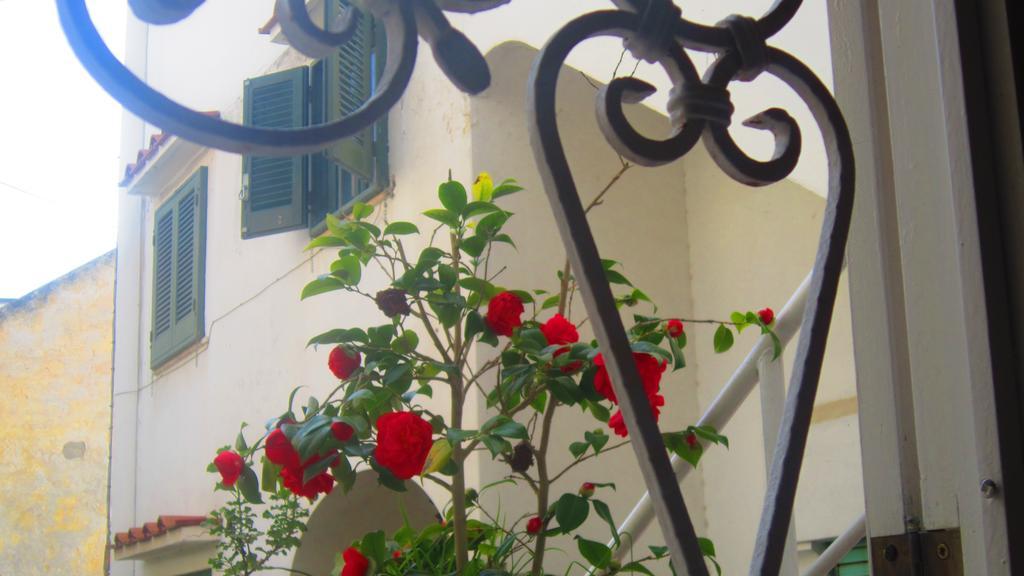 Villa Apollo B&B 카프리 외부 사진