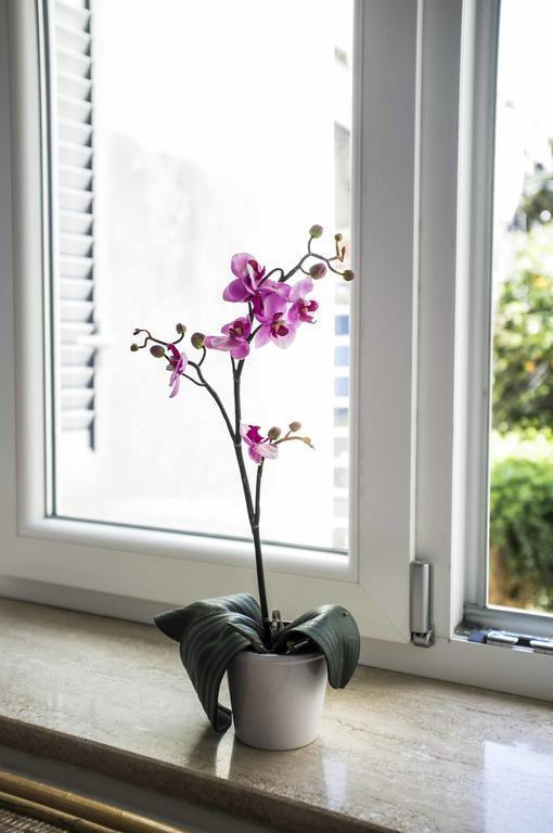 Villa Apollo B&B 카프리 외부 사진