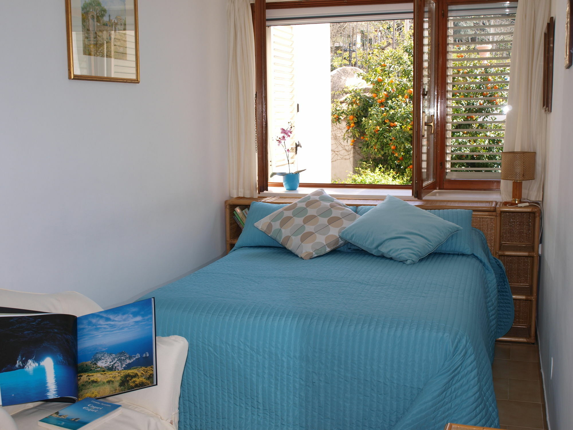 Villa Apollo B&B 카프리 외부 사진